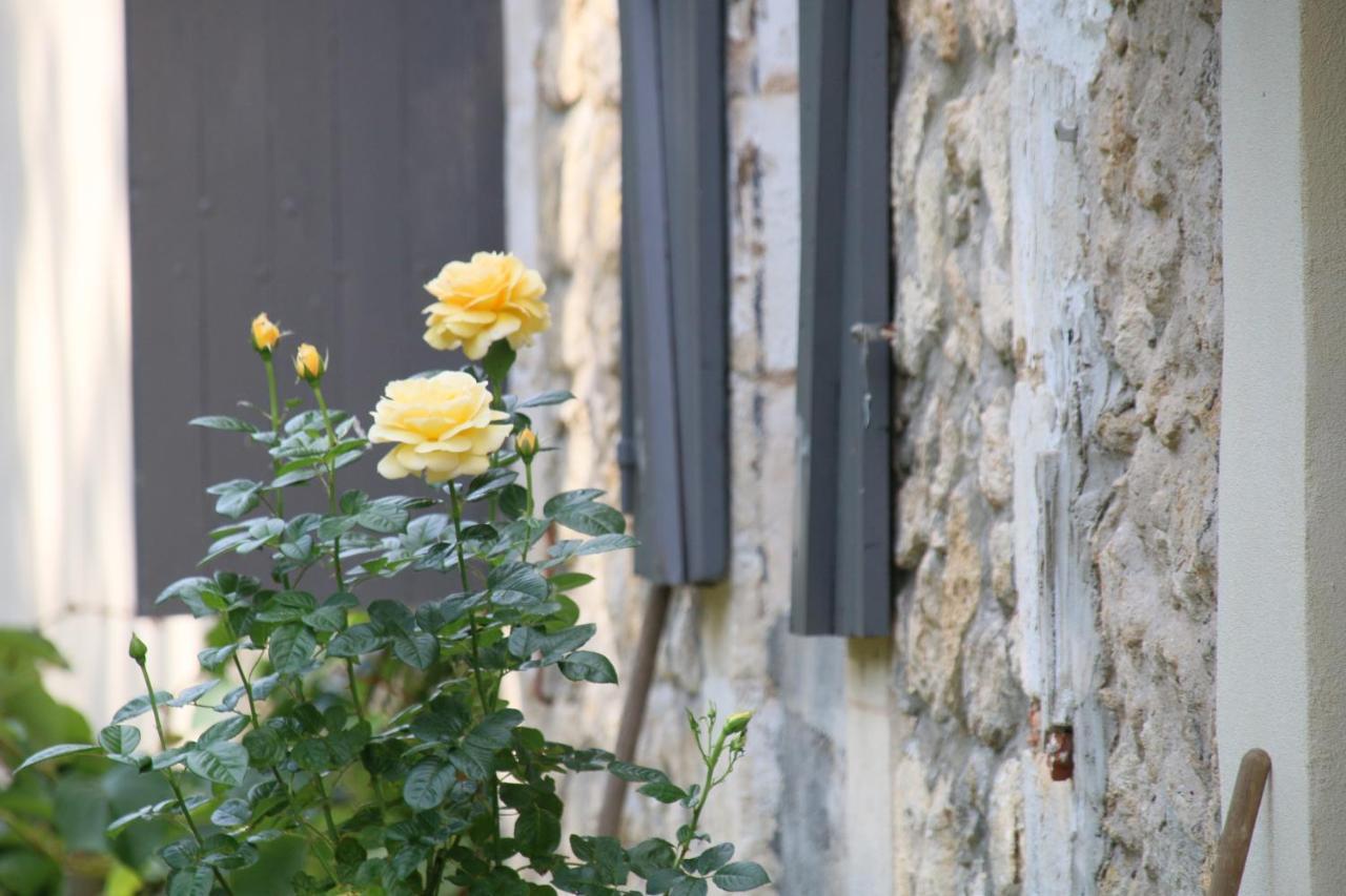 Le Bon Ami Villa Fronsac  Exterior foto